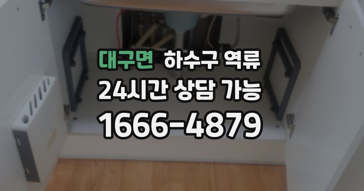 대구면 하수구 역류