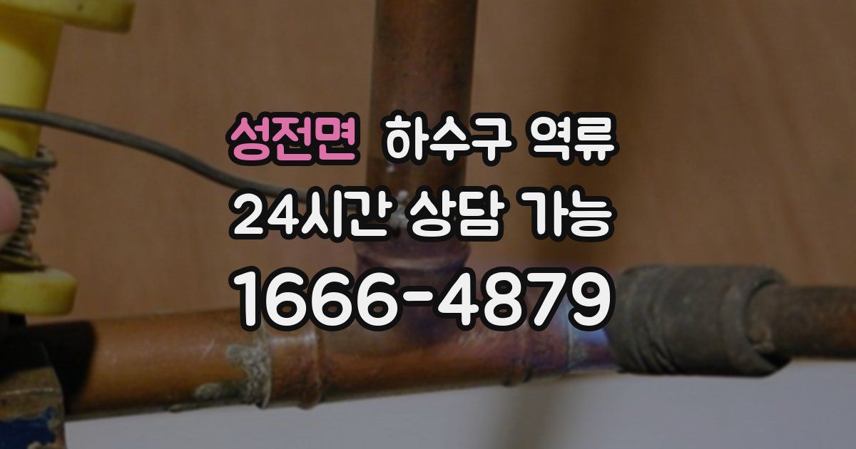 성전면 하수구 역류