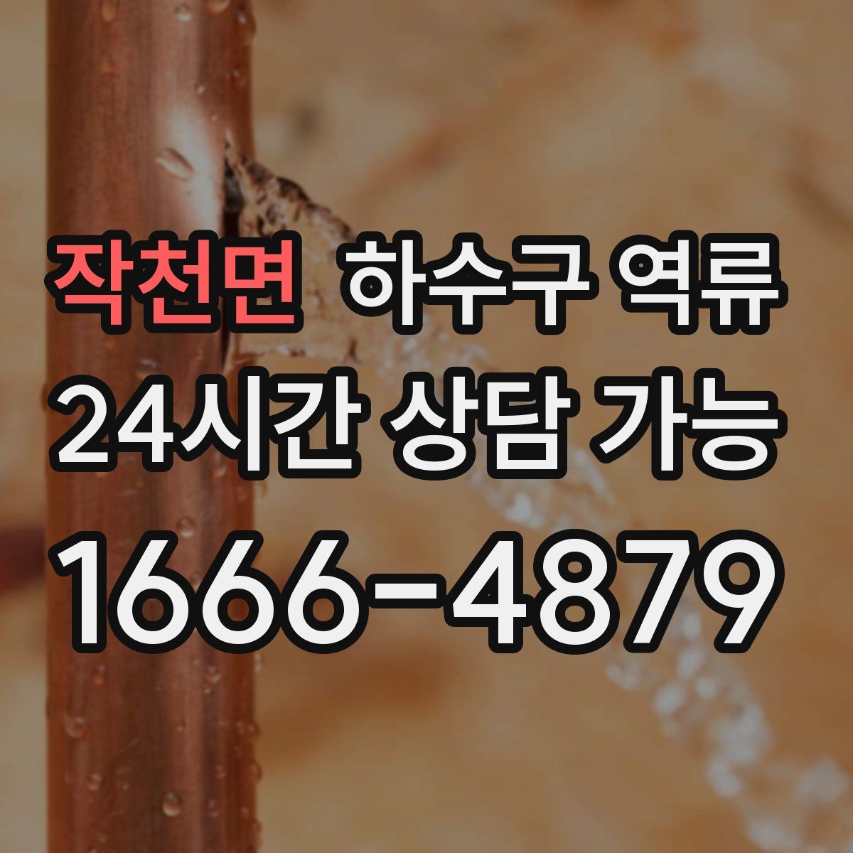 작천면 하수구 역류