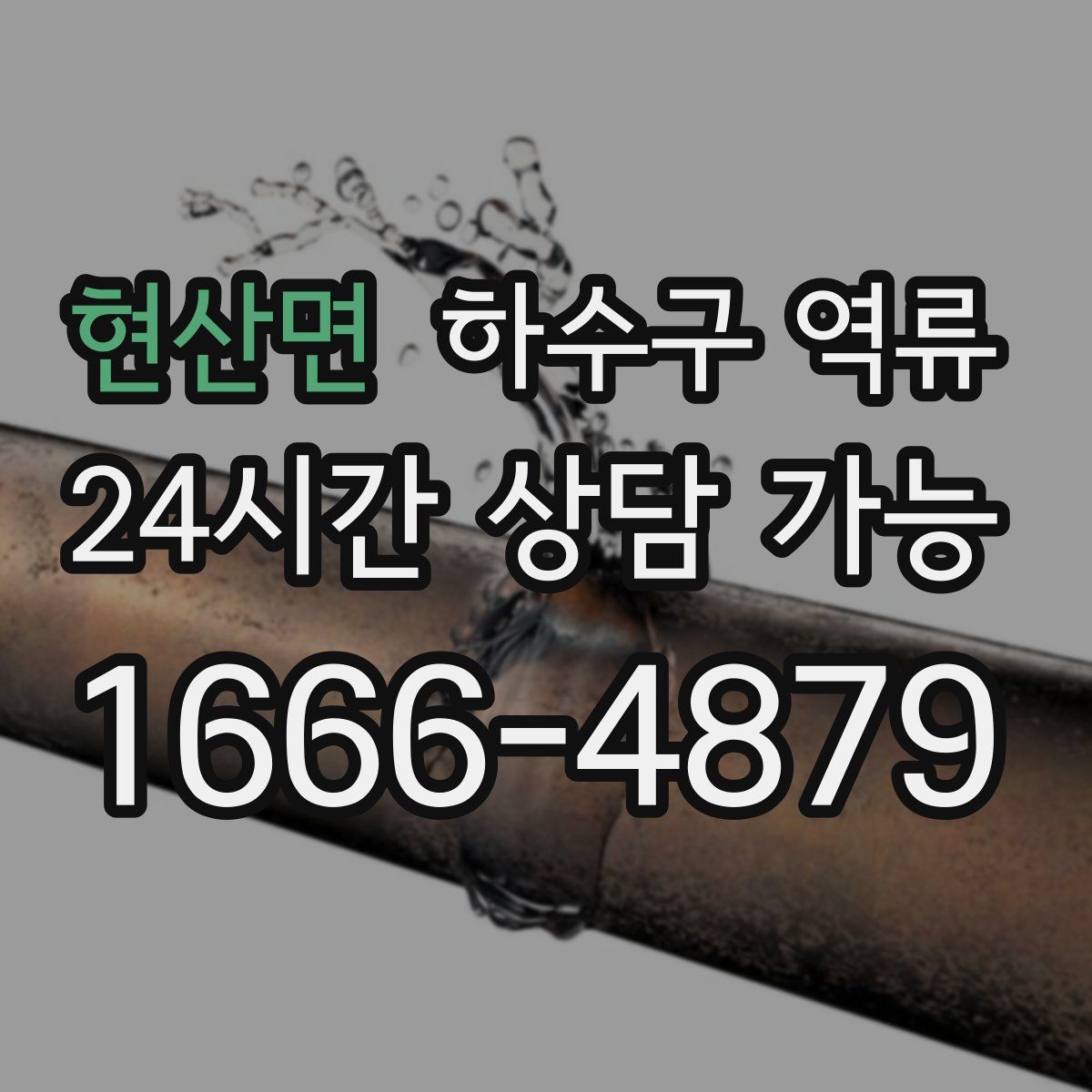 현산면 하수구 역류