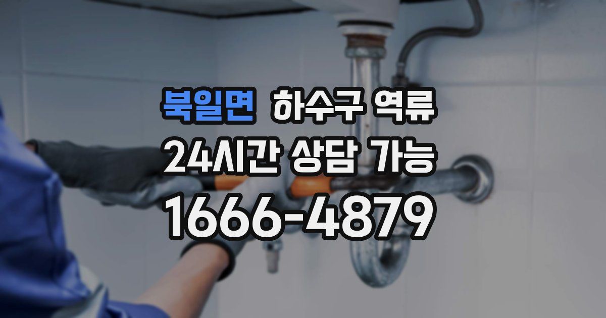 북일면 하수구 역류
