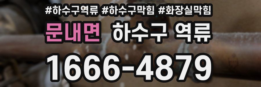 문내면 하수구 역류