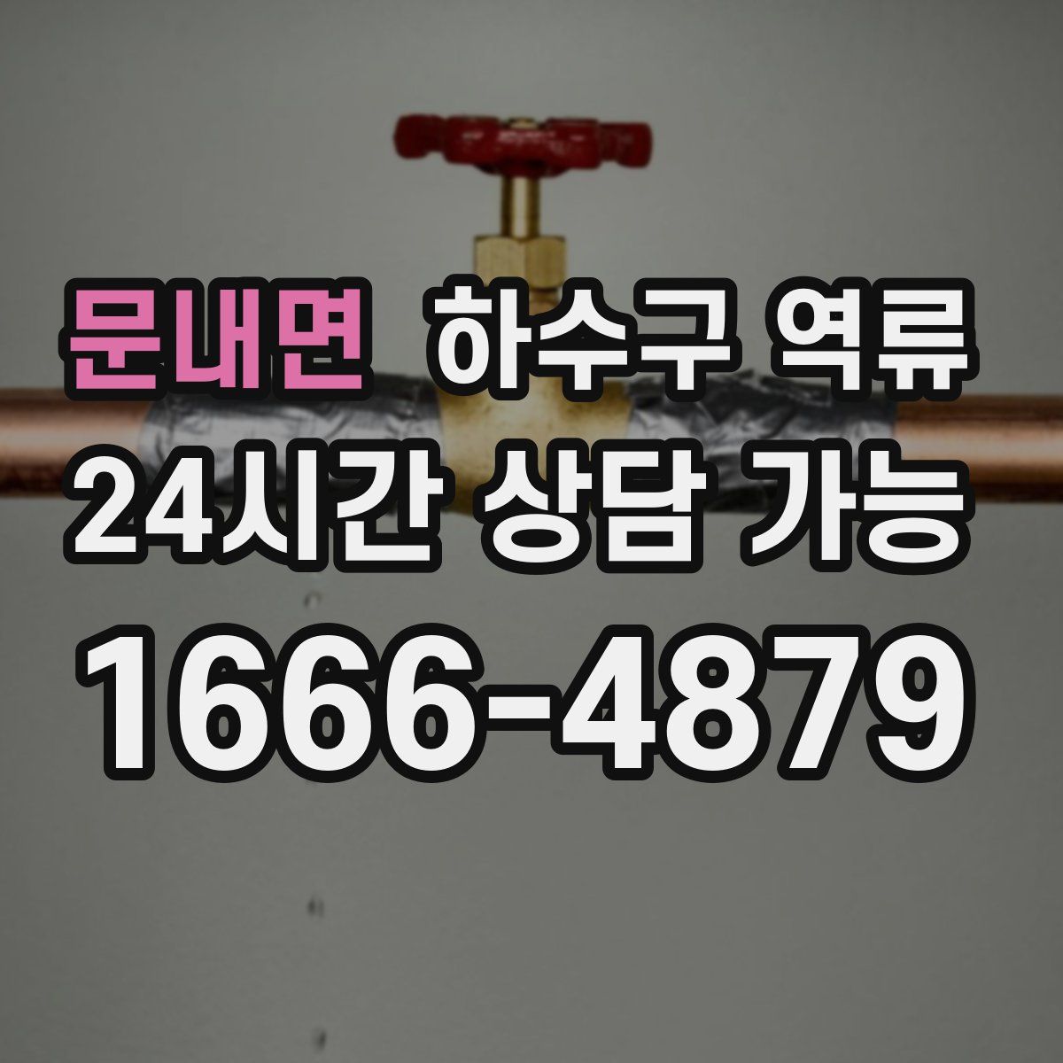 문내면 하수구 역류