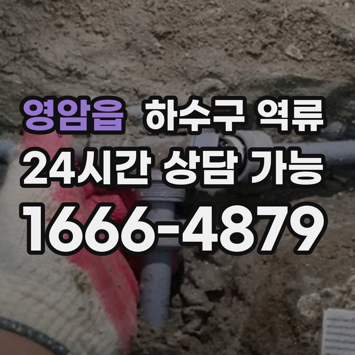 영암읍 하수구 역류