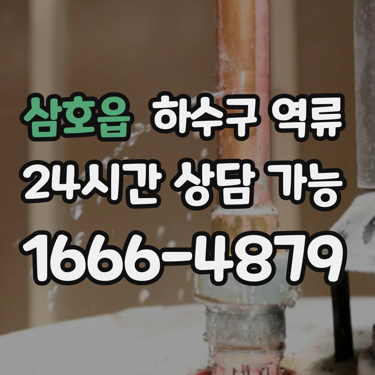 삼호읍 하수구 역류