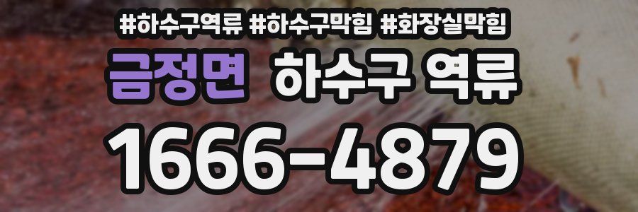 금정면 하수구 역류