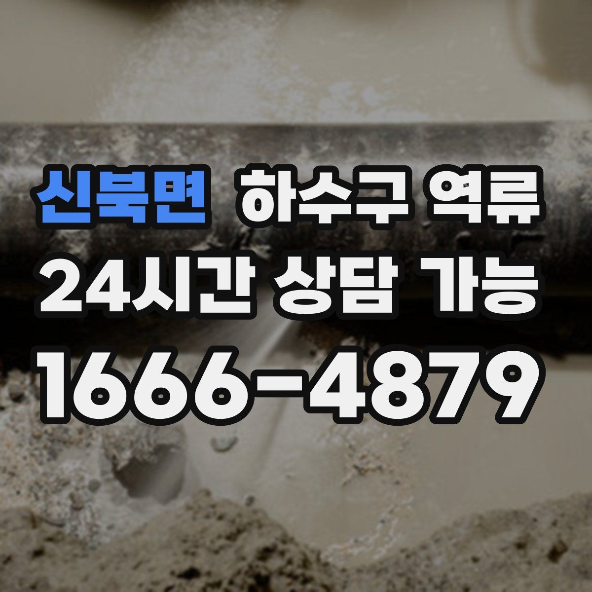 신북면 하수구 역류