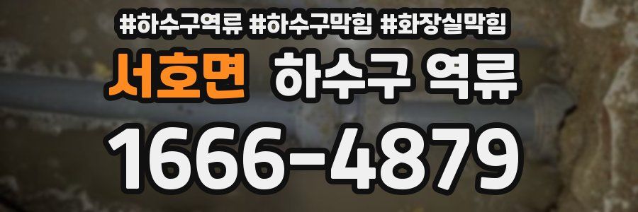 서호면 하수구 역류