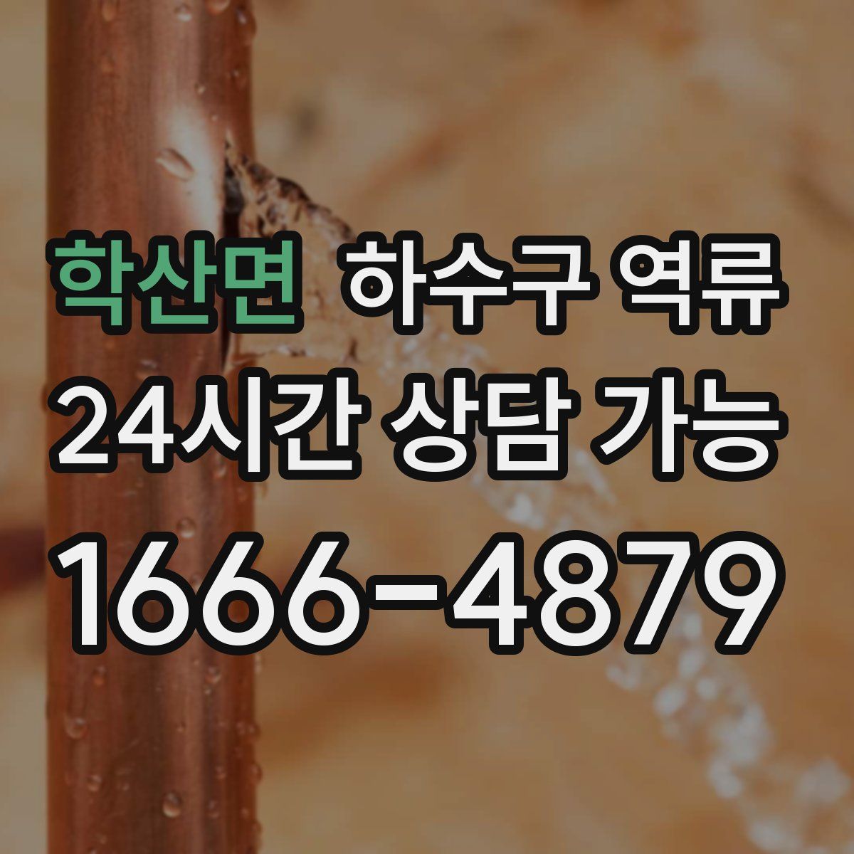 학산면 하수구 역류