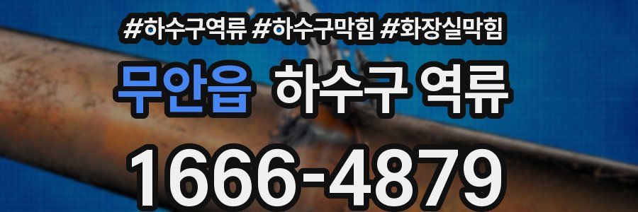 무안읍 하수구 역류