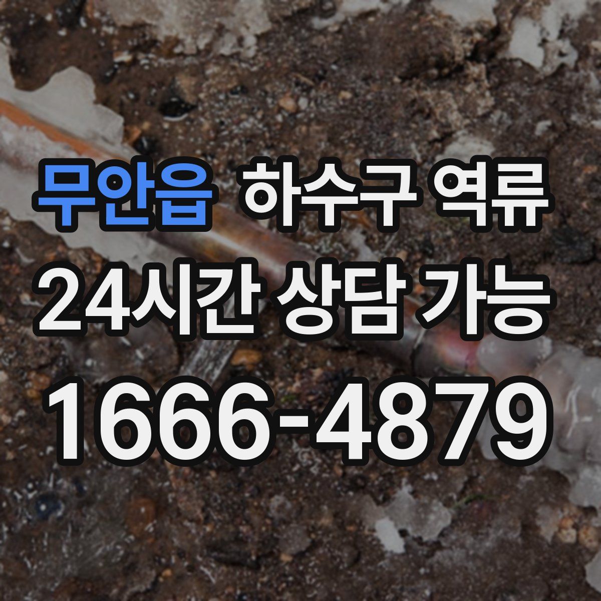 무안읍 하수구 역류