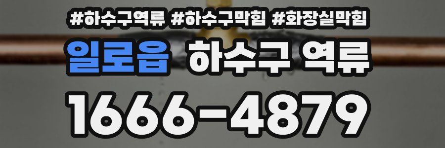 일로읍 하수구 역류