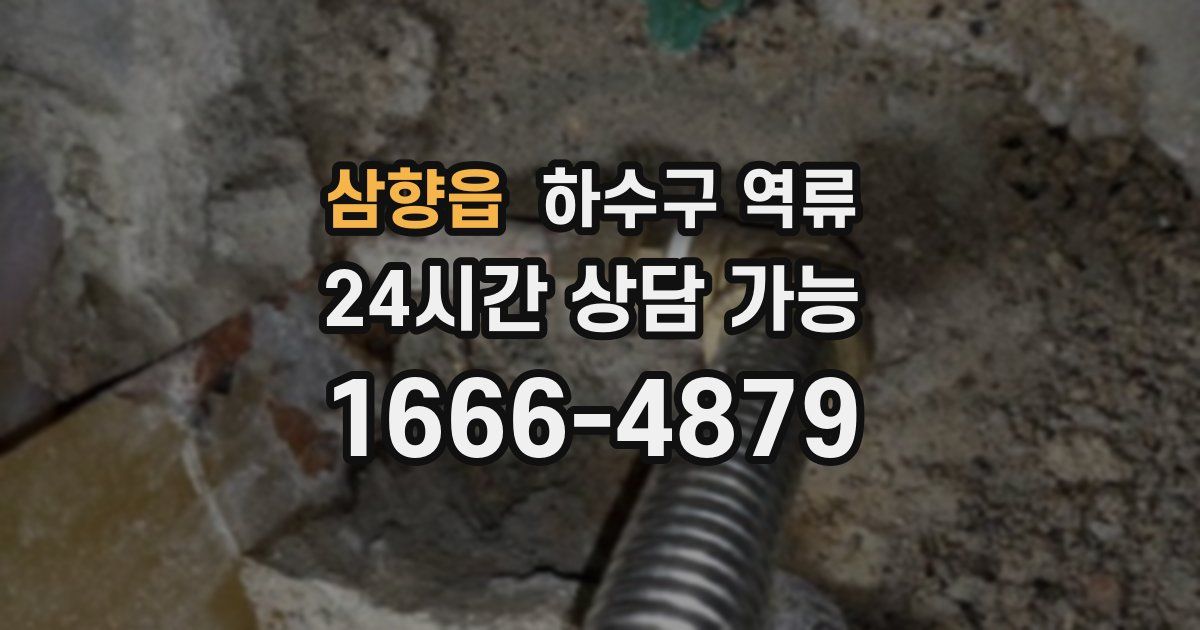 삼향읍 하수구 역류