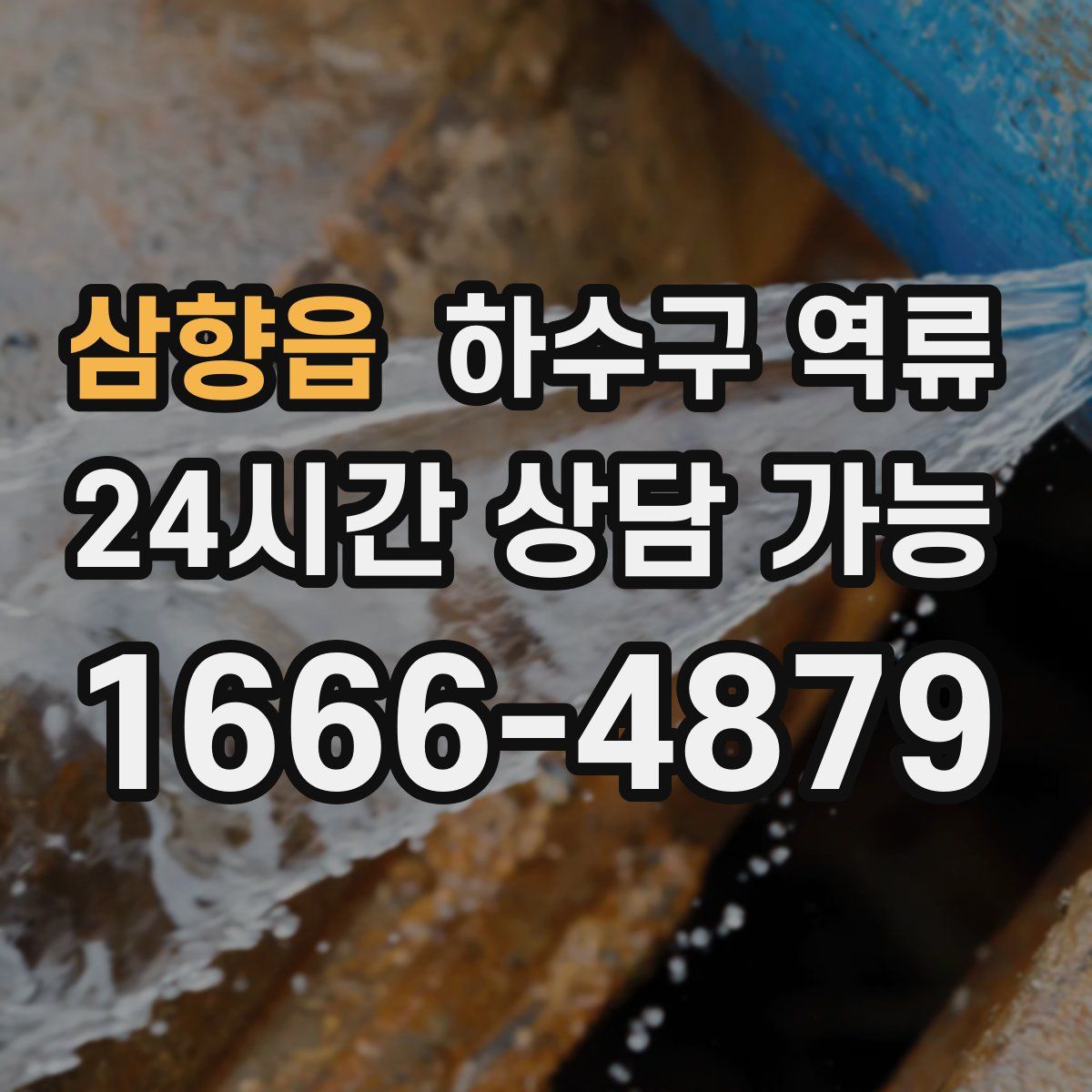 삼향읍 하수구 역류