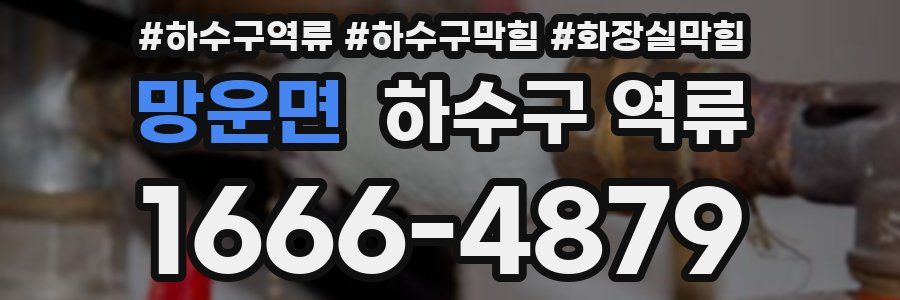 망운면 하수구 역류