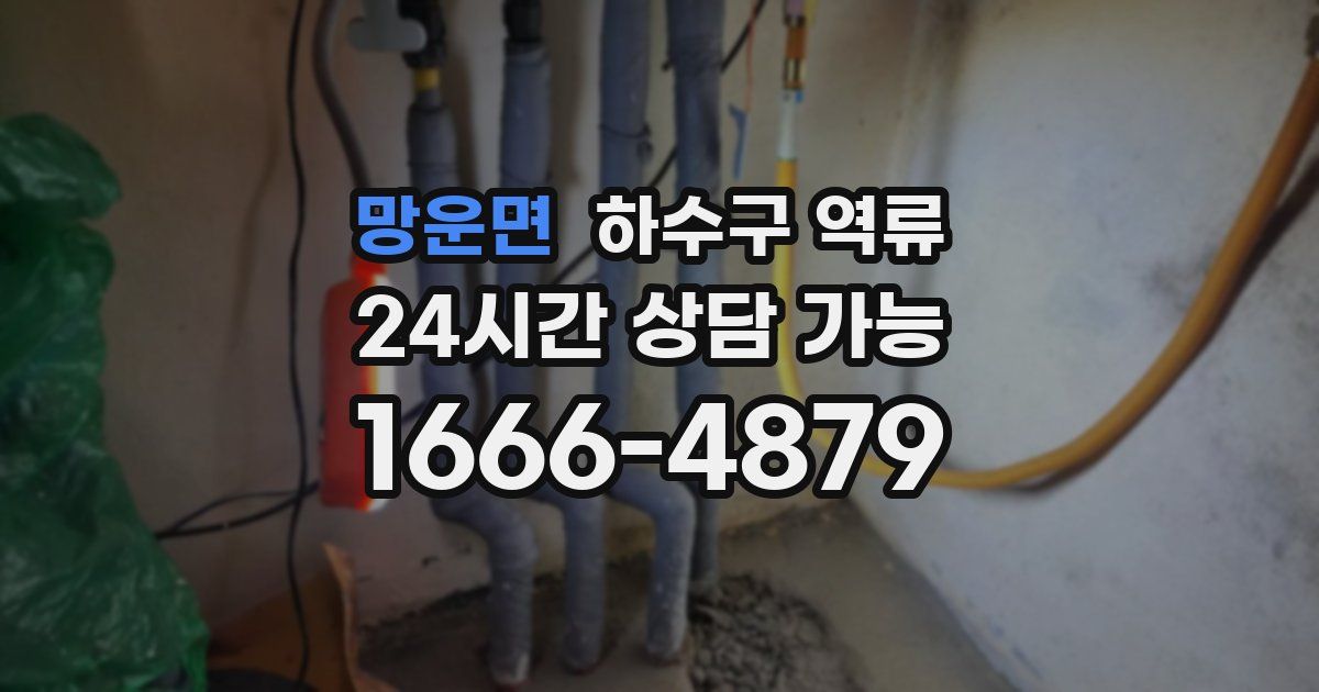 망운면 하수구 역류