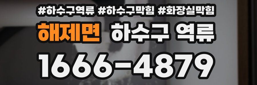 해제면 하수구 역류