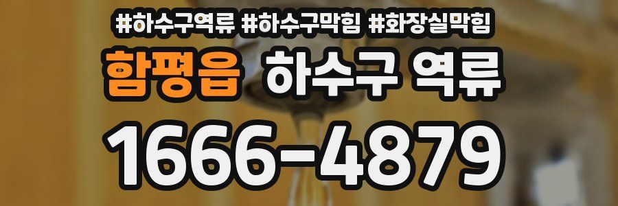 함평읍 하수구 역류