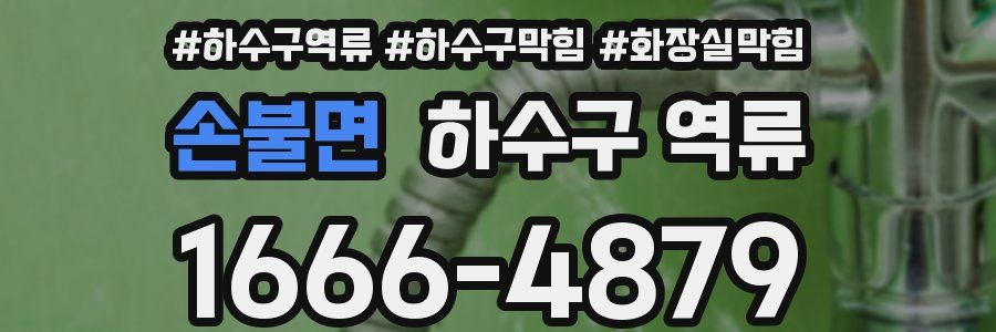 손불면 하수구 역류