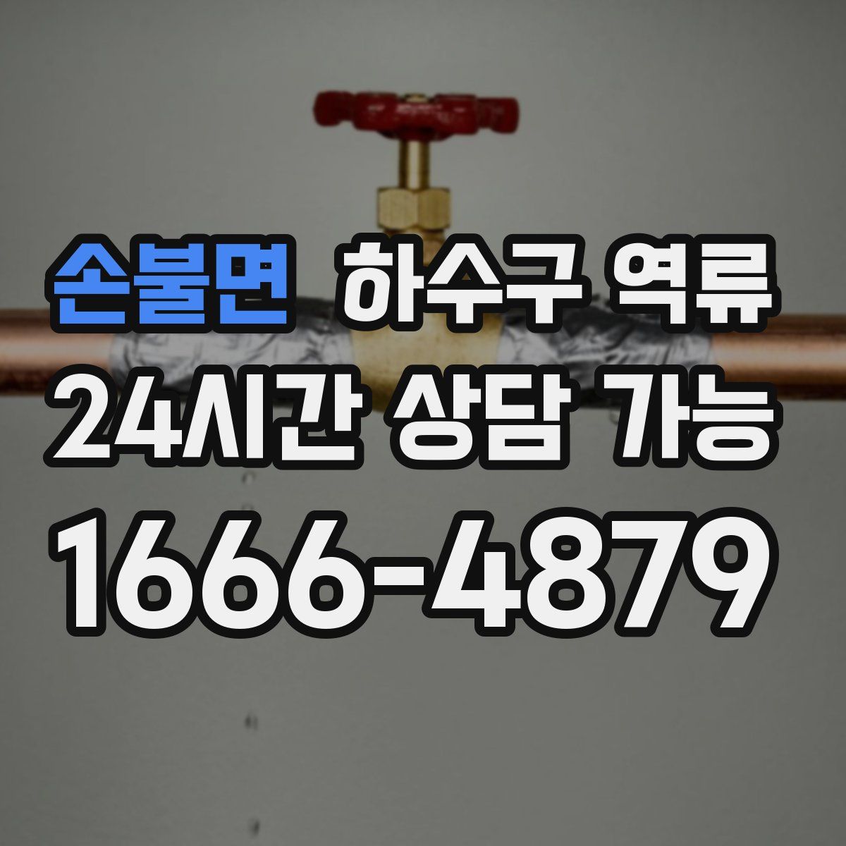 손불면 하수구 역류