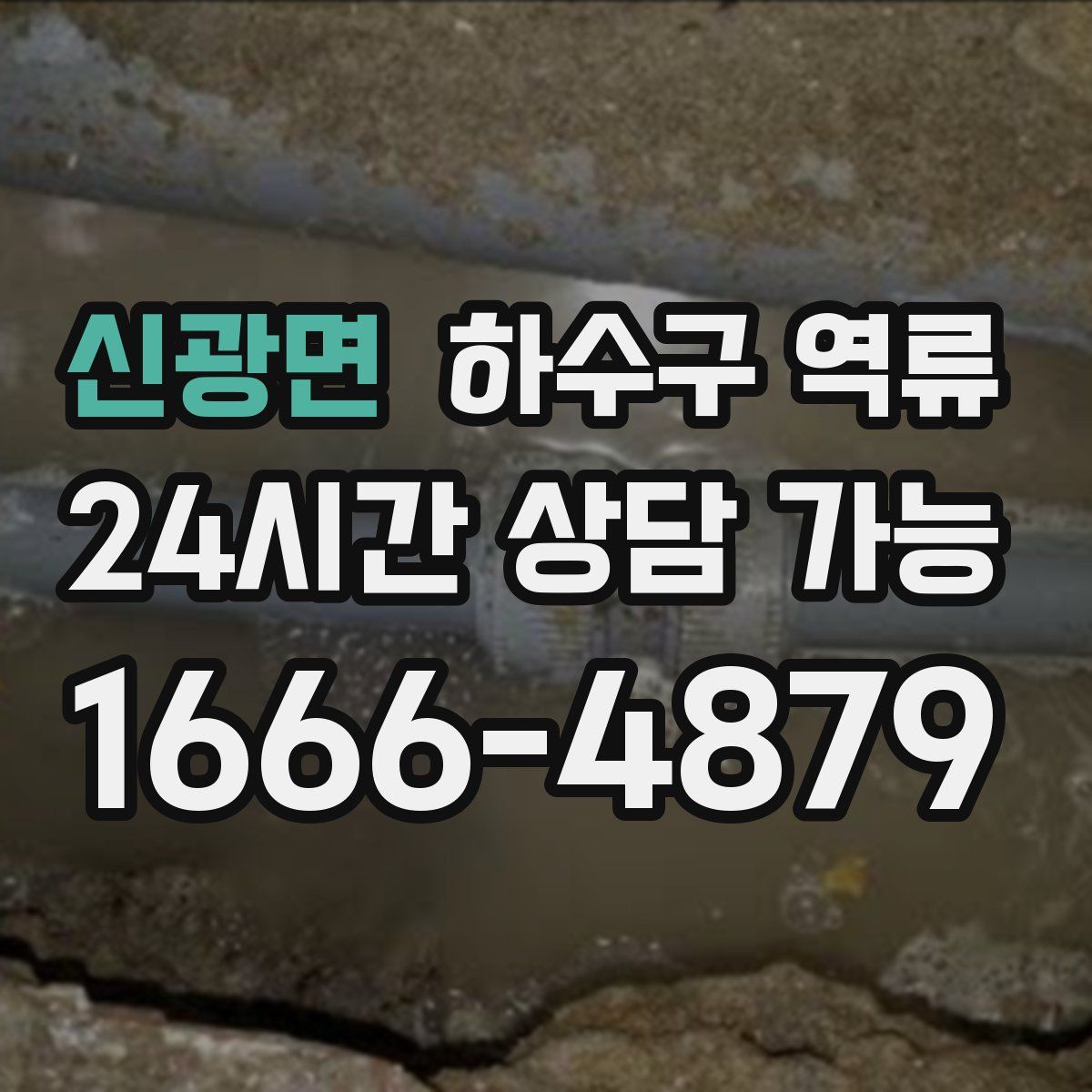 신광면 하수구 역류