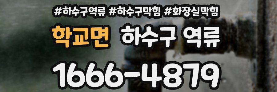 학교면 하수구 역류