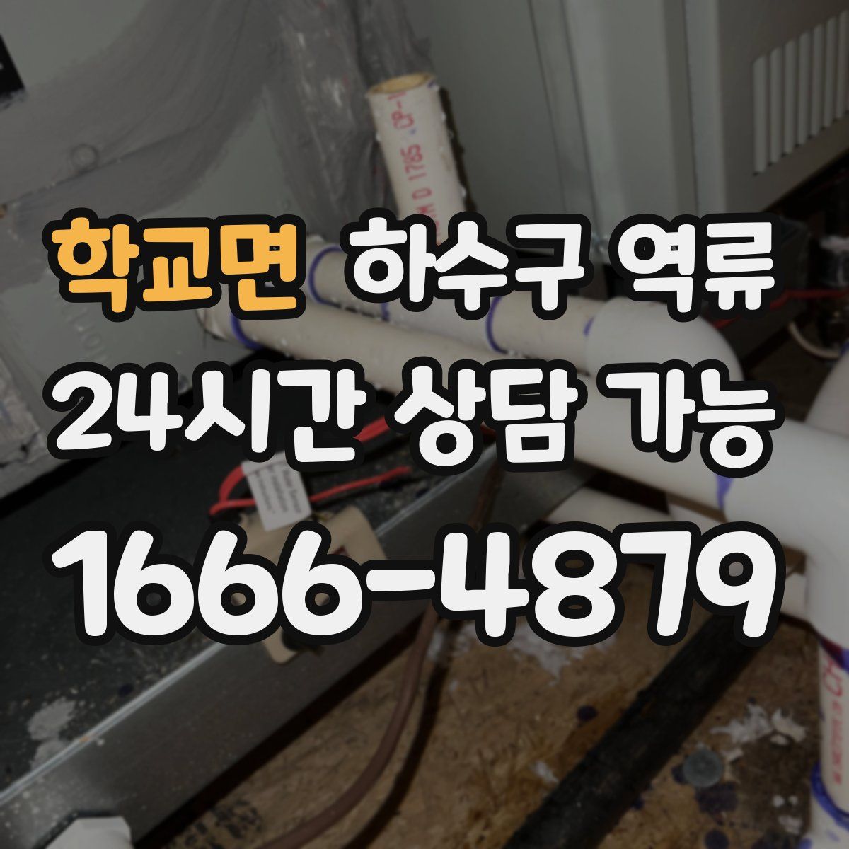 학교면 하수구 역류