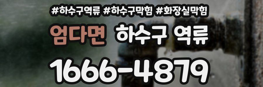 엄다면 하수구 역류