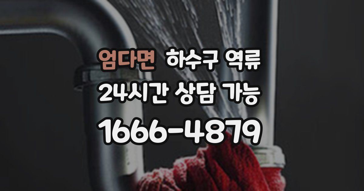 엄다면 하수구 역류