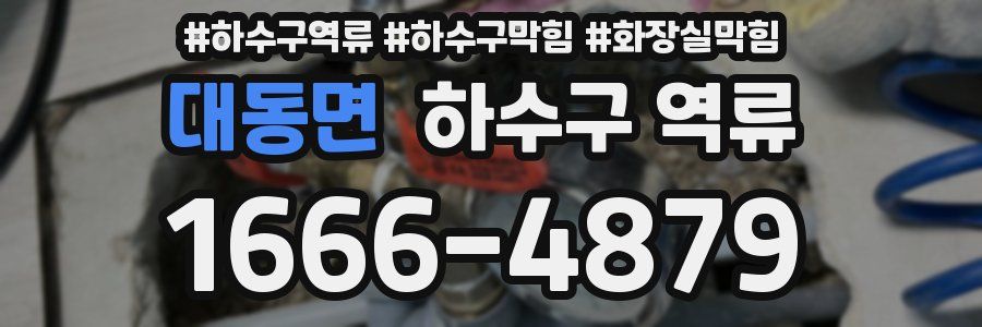 대동면 하수구 역류