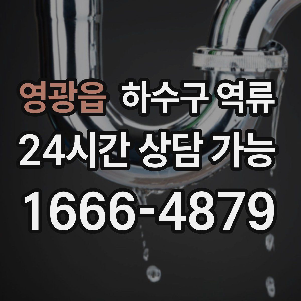 영광읍 하수구 역류