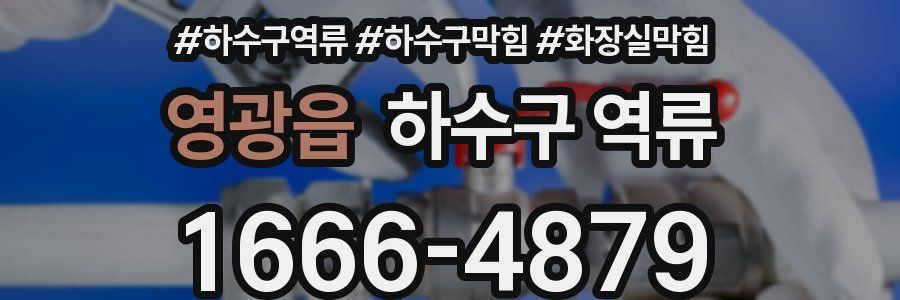 영광읍 하수구 역류