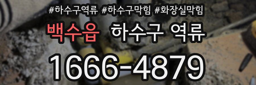 백수읍 하수구 역류