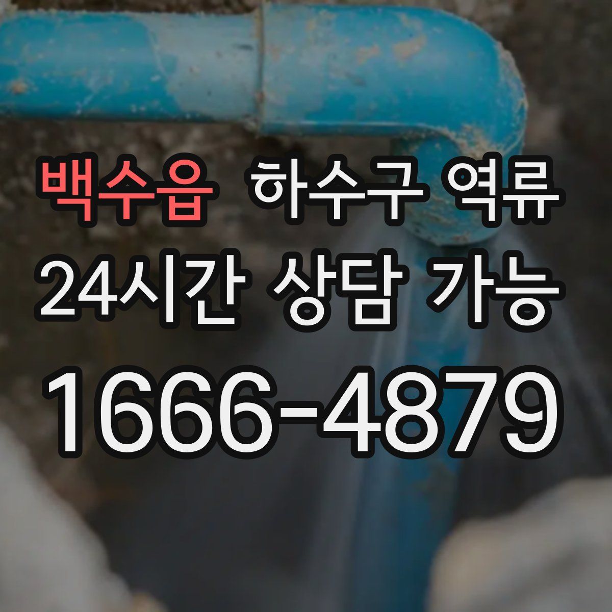 백수읍 하수구 역류