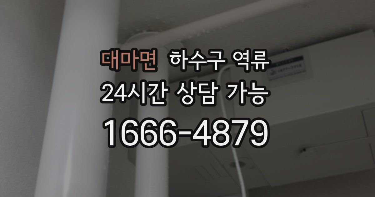 대마면 하수구 역류