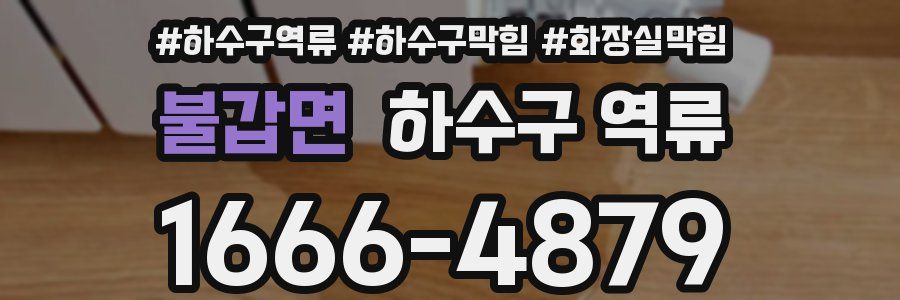 불갑면 하수구 역류