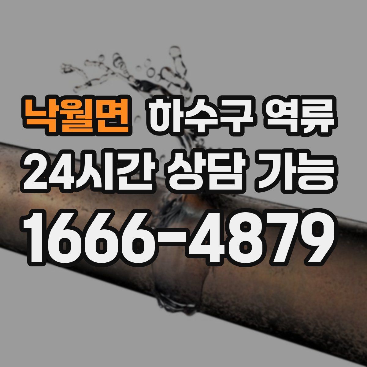 낙월면 하수구 역류