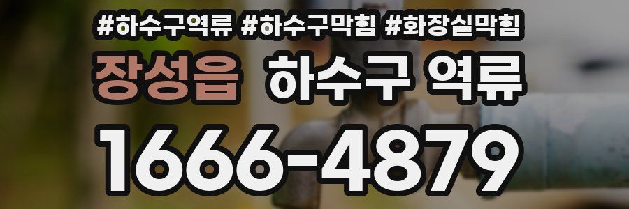 장성읍 하수구 역류