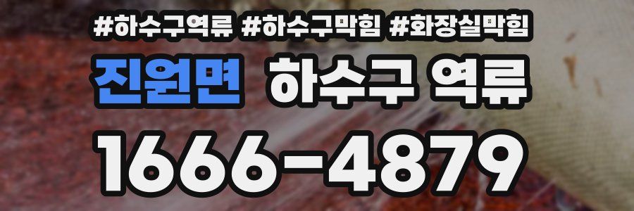 진원면 하수구 역류