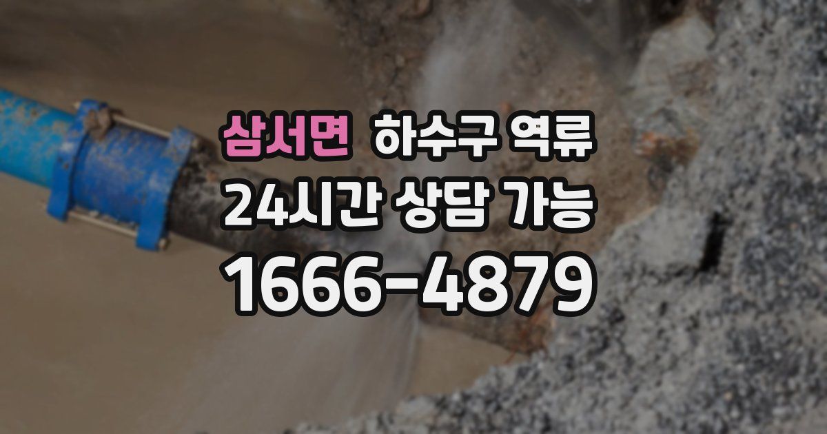 삼서면 하수구 역류