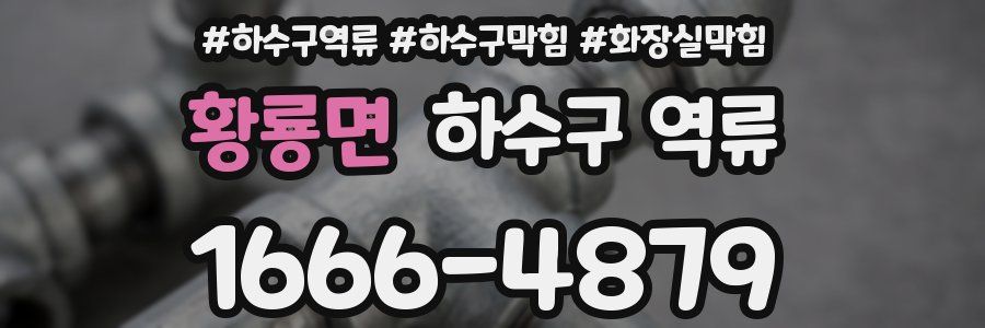 황룡면 하수구 역류