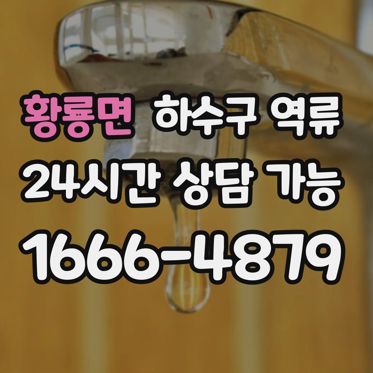 황룡면 하수구 역류