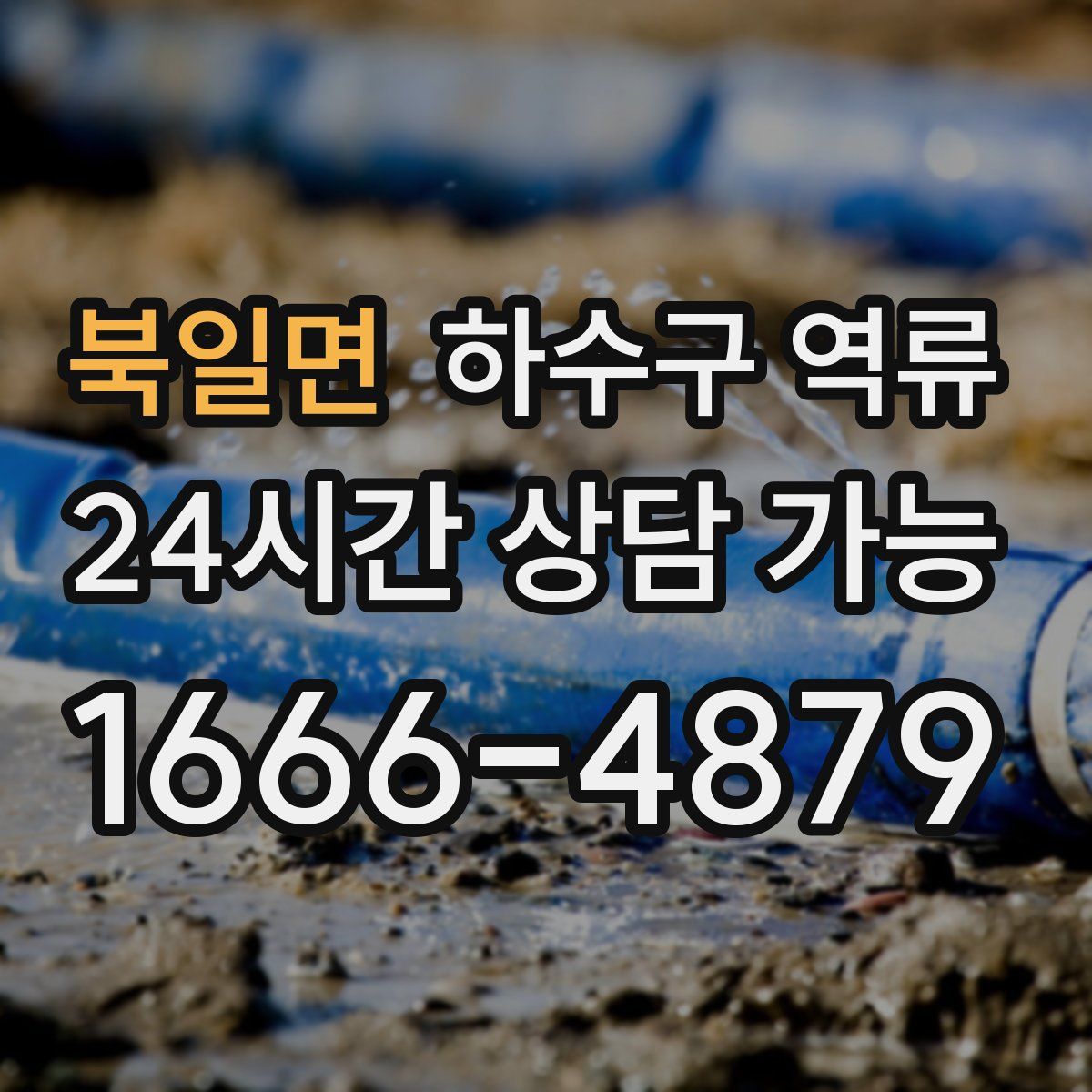 북일면 하수구 역류