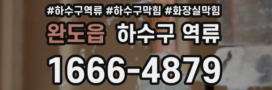 완도읍 하수구 역류