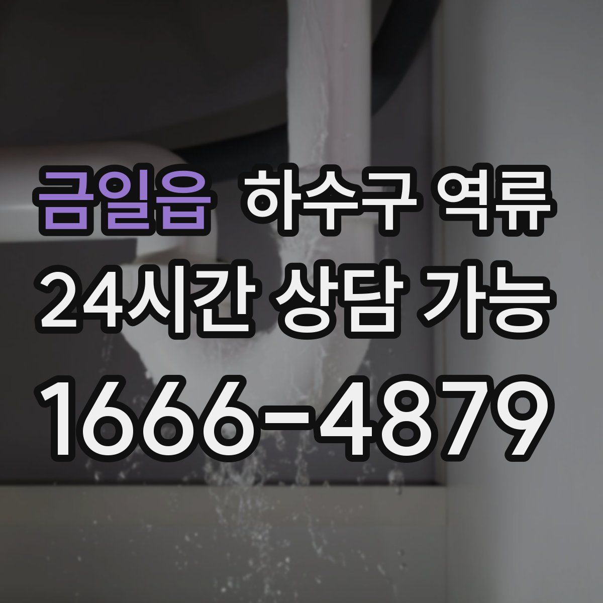 금일읍 하수구 역류