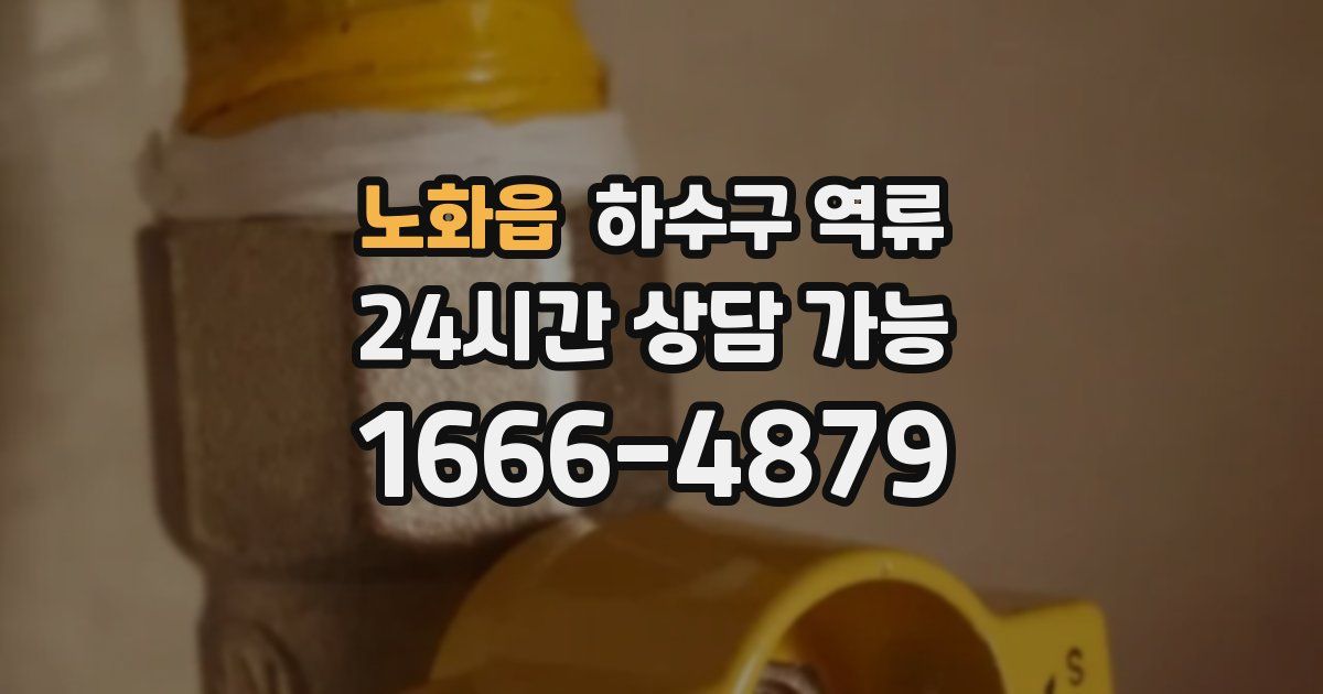 노화읍 하수구 역류