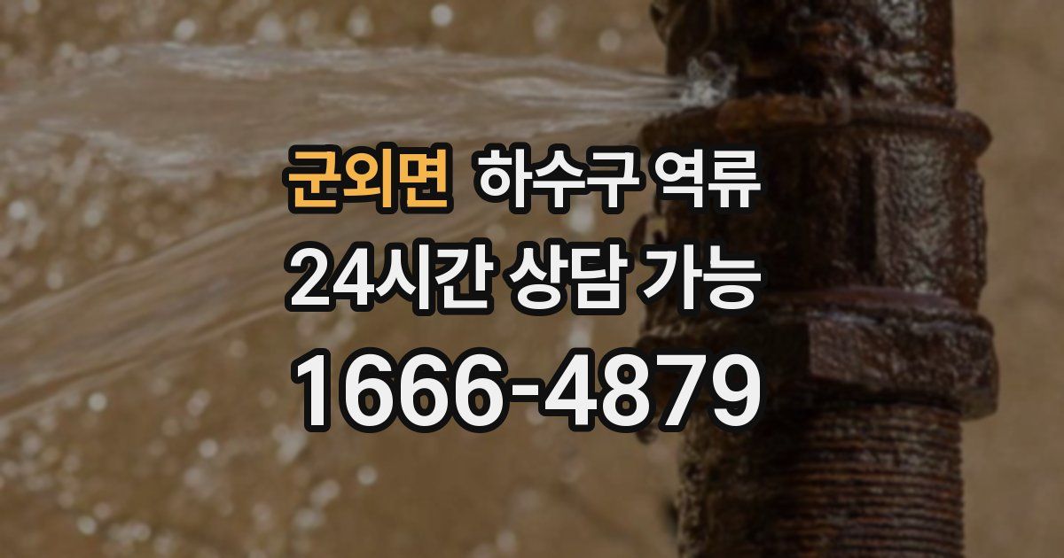 군외면 하수구 역류