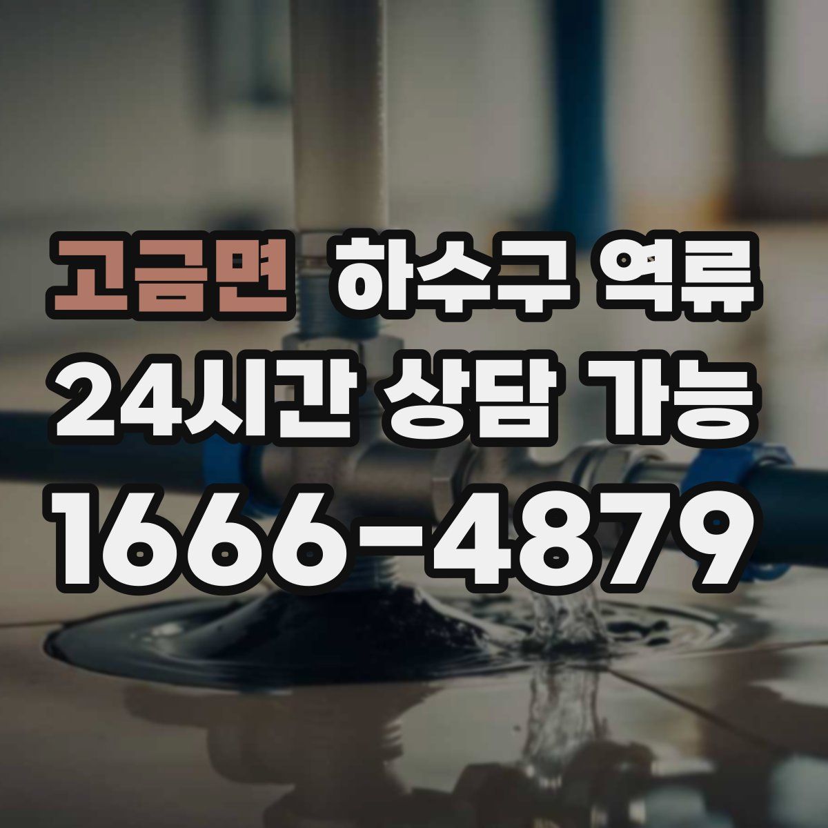 고금면 하수구 역류