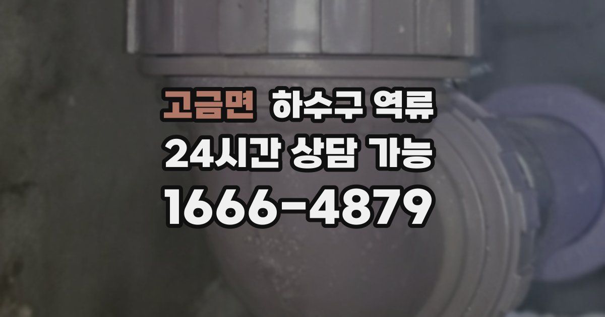 고금면 하수구 역류