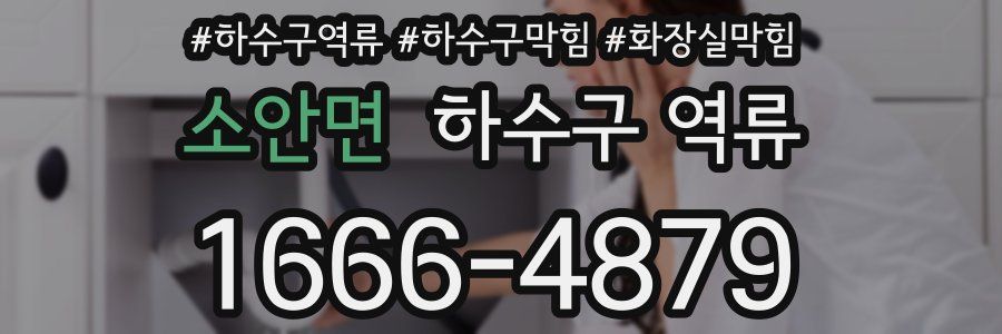 소안면 하수구 역류